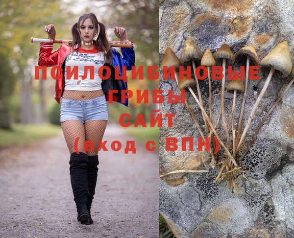 мяу мяу мука Балабаново